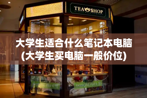 大学生适合什么笔记本电脑(大学生买电脑一般价位)