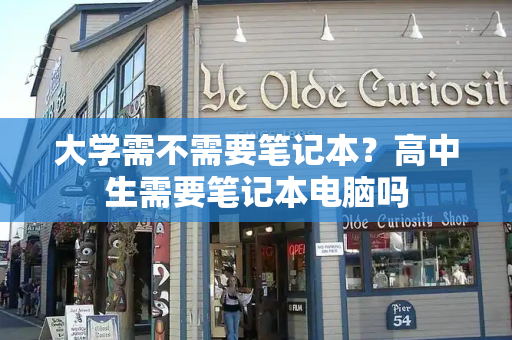 大学需不需要笔记本？高中生需要笔记本电脑吗-第1张图片-星选测评