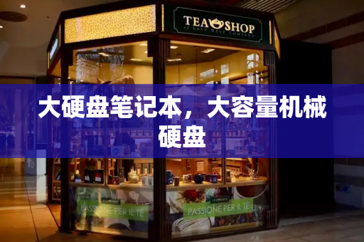 大硬盘笔记本，大容量机械硬盘