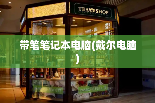 带笔笔记本电脑(戴尔电脑)-第1张图片-星选测评