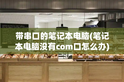 带串口的笔记本电脑(笔记本电脑没有com口怎么办)