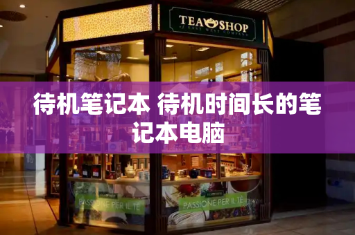 待机笔记本 待机时间长的笔记本电脑