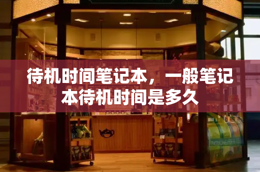 待机时间笔记本，一般笔记本待机时间是多久-第1张图片-星选测评