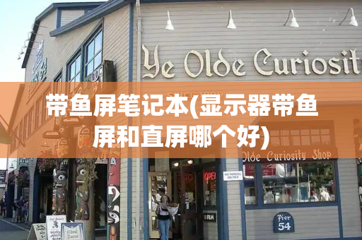 带鱼屏笔记本(显示器带鱼屏和直屏哪个好)