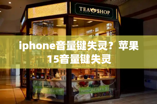 iphone音量键失灵？苹果15音量键失灵-第1张图片-星选测评