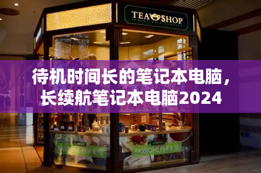 待机时间长的笔记本电脑，长续航笔记本电脑2024-第1张图片-星选测评
