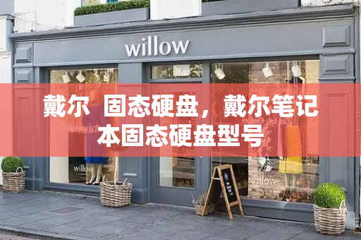戴尔  固态硬盘，戴尔笔记本固态硬盘型号-第1张图片-星选测评