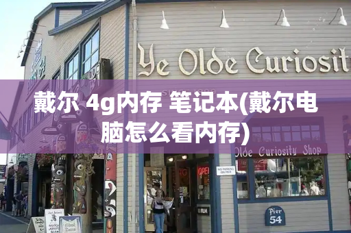 戴尔 4g内存 笔记本(戴尔电脑怎么看内存)-第1张图片-星选测评