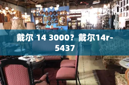 戴尔 14 3000？戴尔14r-5437
