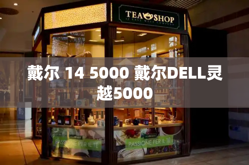 戴尔 14 5000 戴尔DELL灵越5000-第1张图片-星选测评