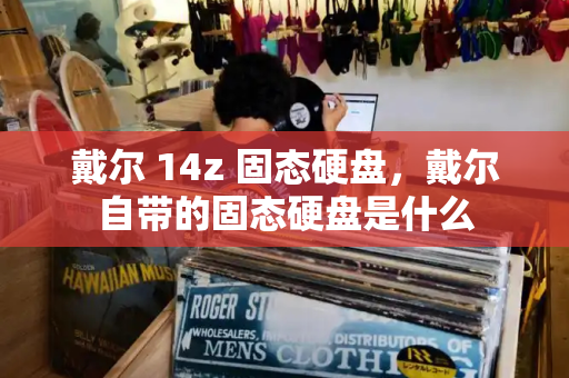 戴尔 14z 固态硬盘，戴尔自带的固态硬盘是什么
