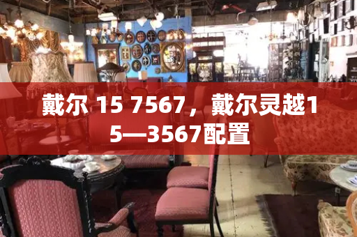戴尔 15 7567，戴尔灵越15—3567配置-第1张图片-星选测评