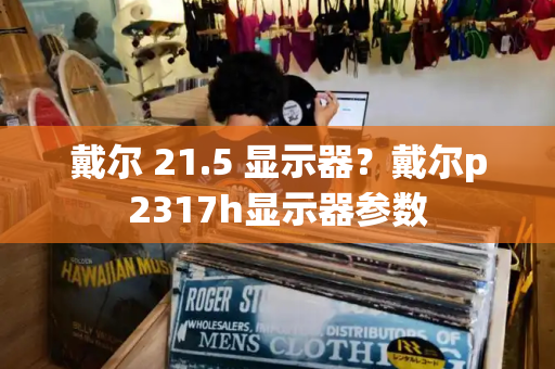 戴尔 21.5 显示器？戴尔p2317h显示器参数-第1张图片-星选测评
