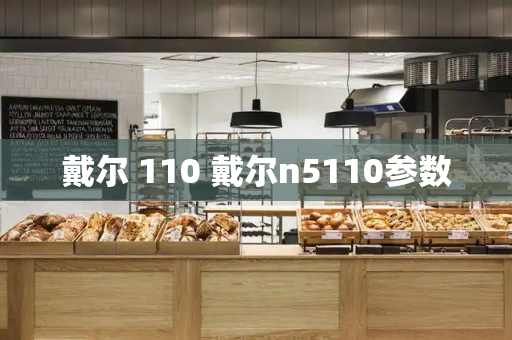 戴尔 110 戴尔n5110参数-第1张图片-星选测评