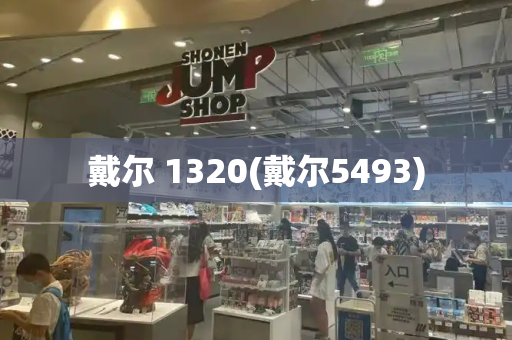 戴尔 1320(戴尔5493)-第1张图片-星选测评