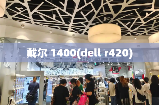 戴尔 1400(dell r420)