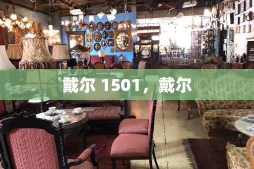 戴尔 1501，戴尔