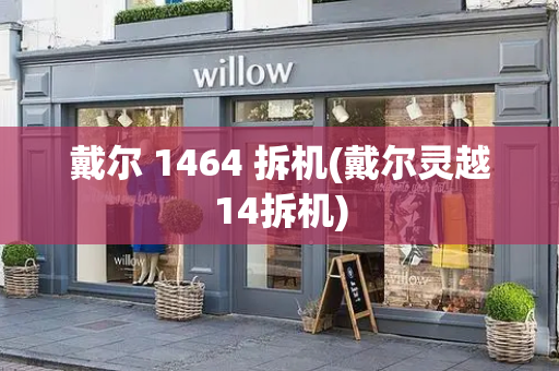 戴尔 1464 拆机(戴尔灵越14拆机)