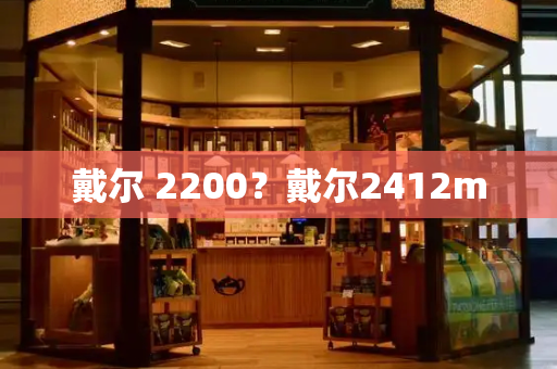 戴尔 2200？戴尔2412m-第1张图片-星选测评