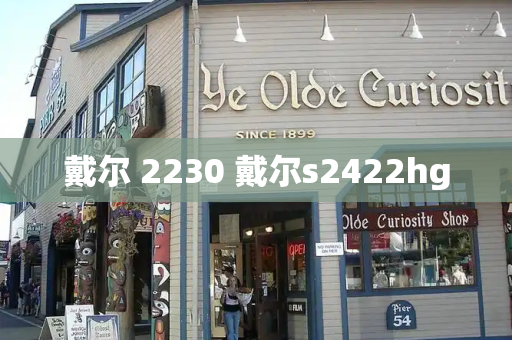 戴尔 2230 戴尔s2422hg-第1张图片-星选测评