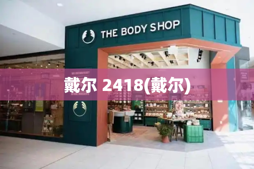 戴尔 2418(戴尔)