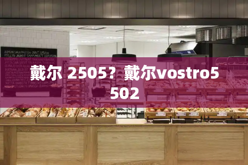 戴尔 2505？戴尔vostro5502-第1张图片-星选测评