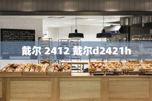 戴尔 2412 戴尔d2421h-第1张图片-星选测评