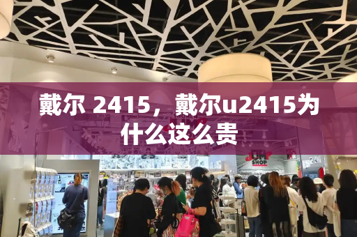 戴尔 2415，戴尔u2415为什么这么贵-第1张图片-星选测评