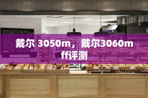 戴尔 3050m，戴尔3060mff评测-第1张图片-星选测评