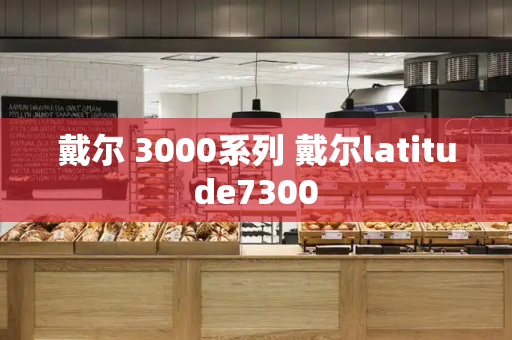戴尔 3000系列 戴尔latitude7300