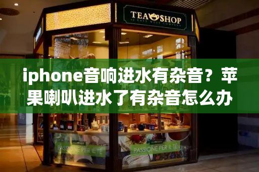 iphone音响进水有杂音？苹果喇叭进水了有杂音怎么办
