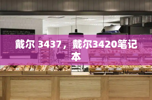 戴尔 3437，戴尔3420笔记本-第1张图片-星选测评