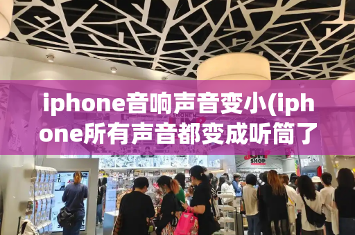 iphone音响声音变小(iphone所有声音都变成听筒了)