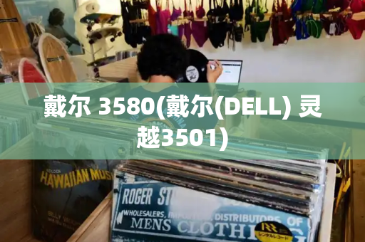 戴尔 3580(戴尔(DELL) 灵越3501)-第1张图片-星选测评