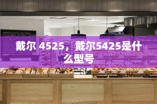 戴尔 4525，戴尔5425是什么型号-第1张图片-星选测评