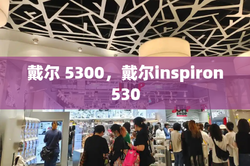 戴尔 5300，戴尔inspiron530-第1张图片-星选测评