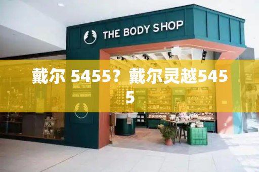 戴尔 5455？戴尔灵越5455-第1张图片-星选测评