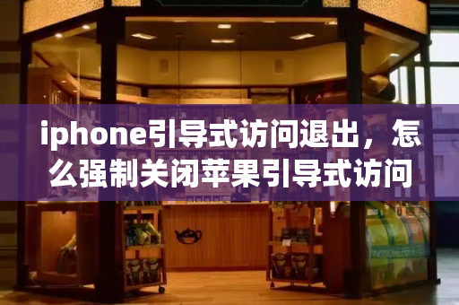 iphone引导式访问退出，怎么强制关闭苹果引导式访问-第1张图片-星选测评