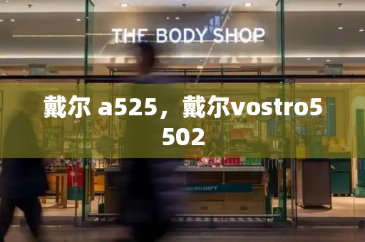戴尔 a525，戴尔vostro5502-第1张图片-星选测评
