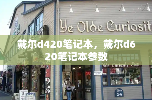 戴尔d420笔记本，戴尔d620笔记本参数-第1张图片-星选测评