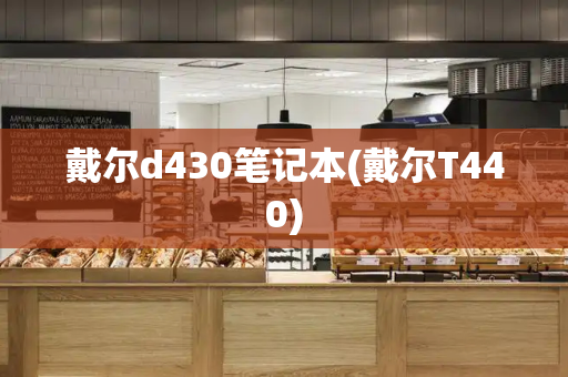 戴尔d430笔记本(戴尔T440)