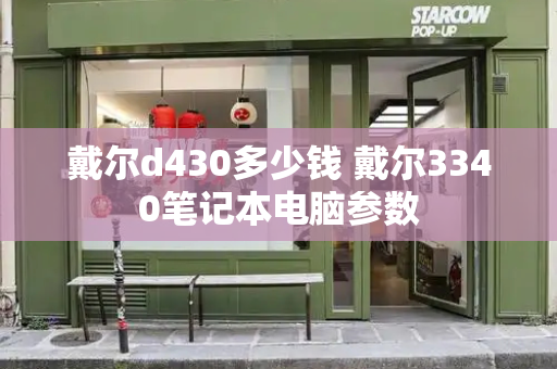 戴尔d430多少钱 戴尔3340笔记本电脑参数-第1张图片-星选测评