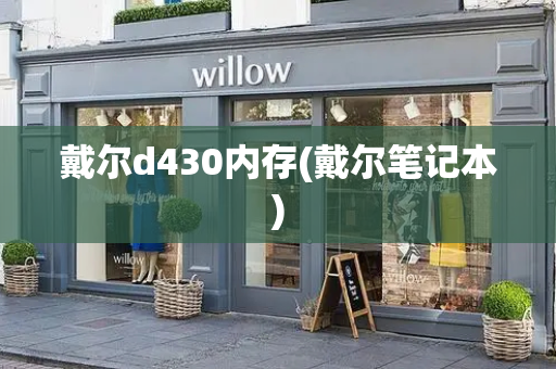 戴尔d430内存(戴尔笔记本)-第1张图片-星选测评