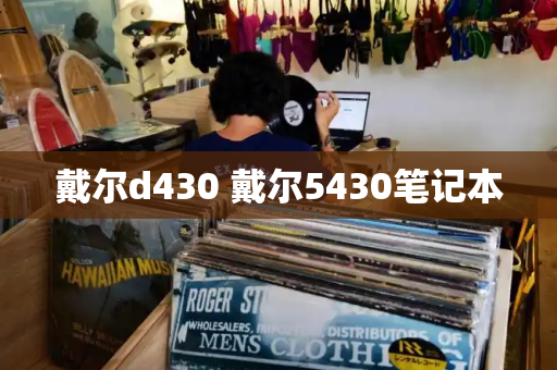 戴尔d430 戴尔5430笔记本
