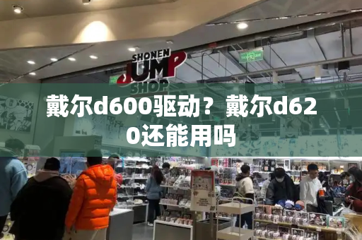 戴尔d600驱动？戴尔d620还能用吗