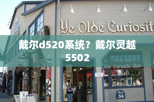 戴尔d520系统？戴尔灵越5502-第1张图片-星选测评
