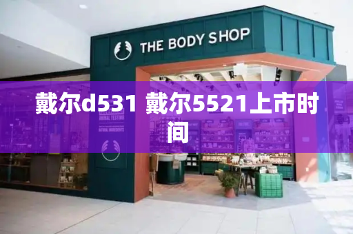 戴尔d531 戴尔5521上市时间-第1张图片-星选测评