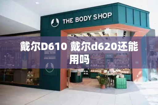 戴尔D610 戴尔d620还能用吗