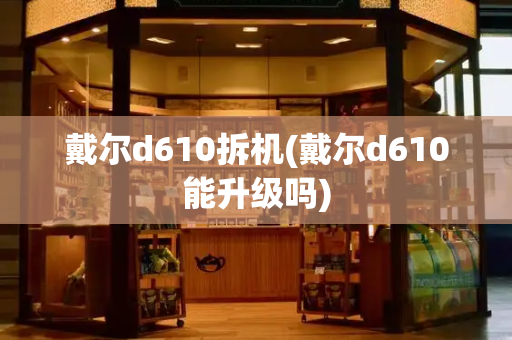 戴尔d610拆机(戴尔d610能升级吗)