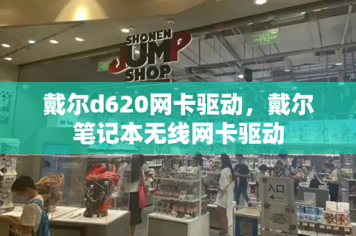 戴尔d620网卡驱动，戴尔笔记本无线网卡驱动-第1张图片-星选测评